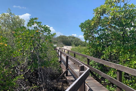 Hinchinbrook Island Tour - Tourism Adelaide 4