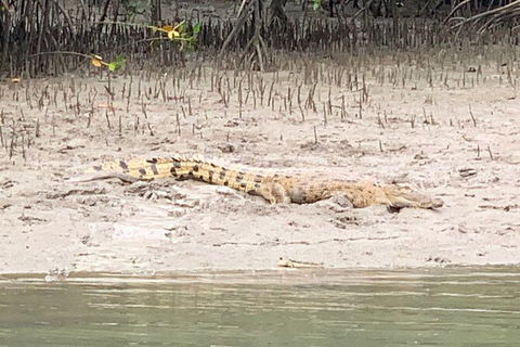 Hinchinbrook Island Tour - Tourism Adelaide 2