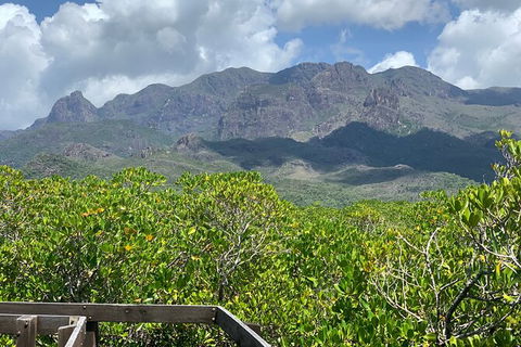 Hinchinbrook Island Tour - Tourism Adelaide 0