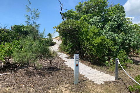 Hinchinbrook Island Tour - Tourism Adelaide 1