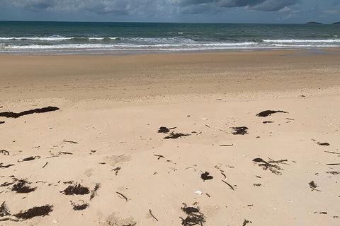 Hinchinbrook Island Tour - Tourism Adelaide 6