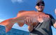 Great Barrier Reef Fishing Charter - thumb 3