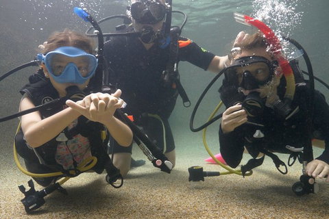 Scuba Kids- Padi Bubblemaker Course - Tourism Adelaide 4