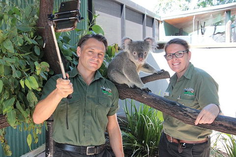 Virtual Interactive Australian Wildlife Tour With Private Guide-Wildlife Habitat - Tourism Adelaide 4