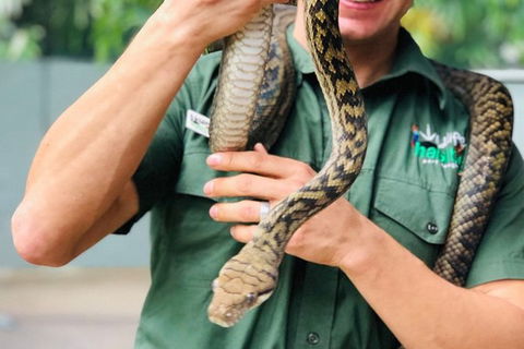 Virtual Interactive Australian Wildlife Tour With Private Guide-Wildlife Habitat - Tourism Adelaide 3