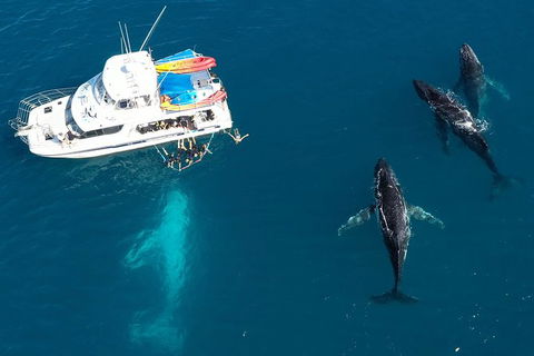 Remote Fraser Island & Whale Experience - Tourism Adelaide 3