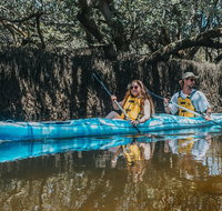Kayak Tour in Adelaide Dolphin Sanctuary - Tourism Adelaide