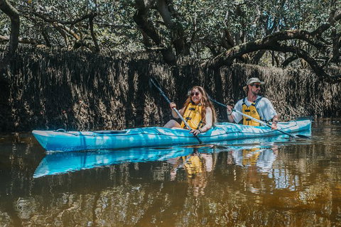 Kayak Tour In Adelaide Dolphin Sanctuary - Tourism Adelaide 0
