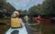 Kayak Tour In Adelaide Dolphin Sanctuary - thumb 5