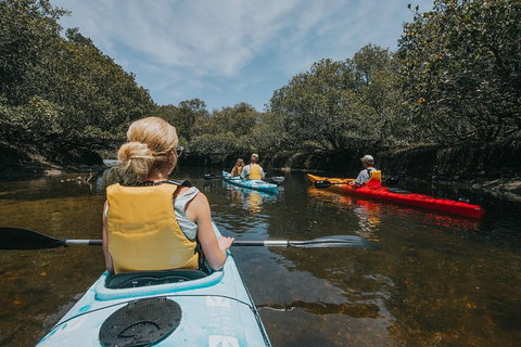 Kayak Tour In Adelaide Dolphin Sanctuary - Tourism Adelaide 5