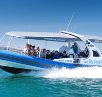 Seal Island Boat Tour from Victor Harbor - Tourism Adelaide