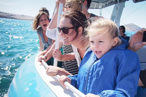 Southern Ocean Adventure From Victor Harbor - Tourism Adelaide 1