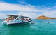 Southern Ocean Adventure From Victor Harbor - thumb 5