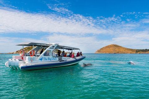 Southern Ocean Adventure From Victor Harbor - Tourism Adelaide 5