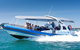 Southern Ocean Adventure From Victor Harbor - thumb 3