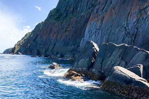 Southern Ocean Adventure From Victor Harbor - Tourism Adelaide 8