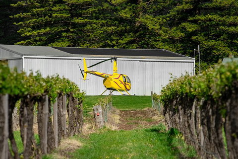 Barossa Valley Deluxe: 30-Minute Helicopter Flight - Tourism Adelaide 3