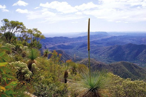Flinders Ranges & Outback 5 Day Small Group 4WD Eco Tour - Tourism Adelaide 1