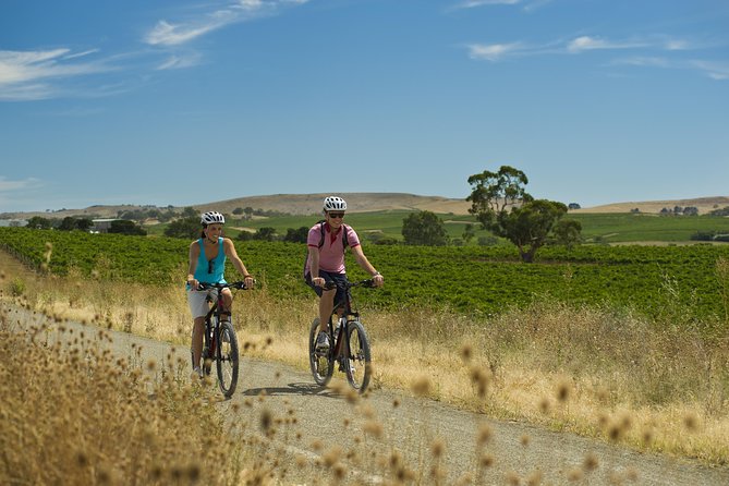 City West Campus SA Tourism Adelaide