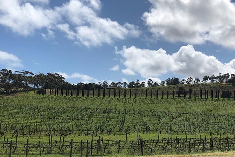 Intimate Wine Experience - Barossa Valley - Tourism Adelaide 8