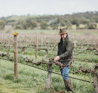 Armagh Vineyard Exclusive wine experience and lunch - Tourism Adelaide