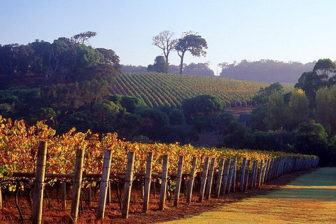 10 Day Adelaide To Perth - The Great Australian Wilderness Journey - Tourism Adelaide 10