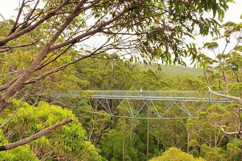 10 Day Adelaide To Perth - The Great Australian Wilderness Journey - Tourism Adelaide 13