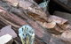3 Day Flinders Ranges Outback Tour - thumb 3