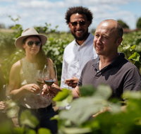 Elderton Elite Tasting Experience - Tourism Adelaide