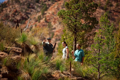 2-Night Wilpena Pound Escape Including Scenic Flight - Tourism Adelaide 3
