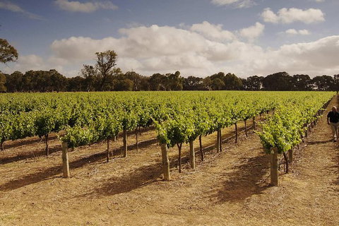 Private Langhorne Creek Wine Region Tour From Adelaide - Tourism Adelaide 0