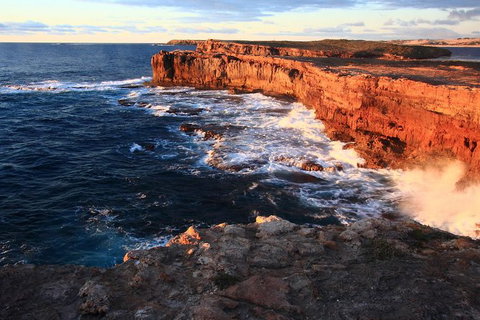 3-Day Small-Group Eco-Tour From Adelaide: Southern Yorke Peninsula - Tourism Adelaide 5