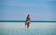 3-Day Small-Group Eco-Tour From Adelaide: Southern Yorke Peninsula - thumb 1
