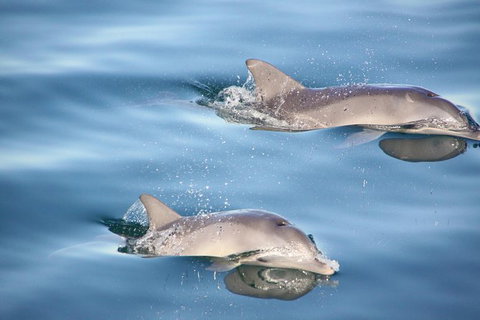 3-Day Small-Group Eco-Tour From Adelaide: Southern Yorke Peninsula - Tourism Adelaide 4