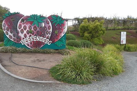 Adelaide Hills Regional / Hahndorf German Village Tour - Tourism Adelaide 6