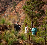 3-Night Wilpena Pound Getaway Including Scenic Flight and 4WD Tour - Tourism Adelaide