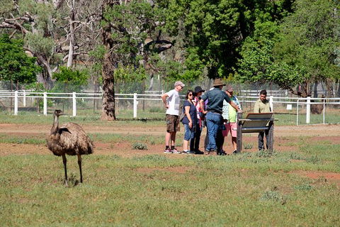 Yura Udnyu - Our Culture, Your Culture (Aboriginal Cultural Walk) - Tourism Adelaide 5