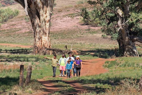 Yura Udnyu - Our Culture, Your Culture (Aboriginal Cultural Walk) - Tourism Adelaide 1