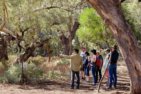 Yura Udnyu - Our Culture, Your Culture (Aboriginal Cultural Walk) - Tourism Adelaide 8