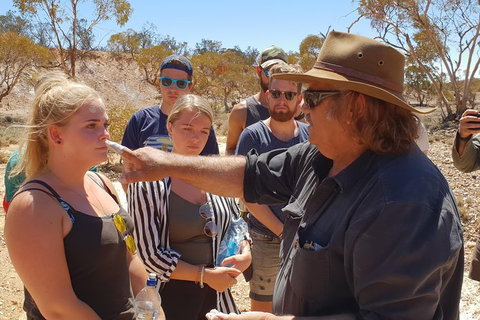 10 Day Adelaide To Alice Springs Adventure - Tourism Adelaide 9