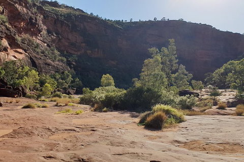 10 Day Adelaide To Alice Springs Adventure - Tourism Adelaide 7