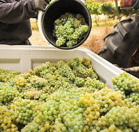 Adelaide Hills Wineries  Hahndorf - Tourism Adelaide