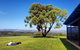 Private McLaren Vale Wine, Gin, & D\'Arenberg Cube Tour - thumb 1