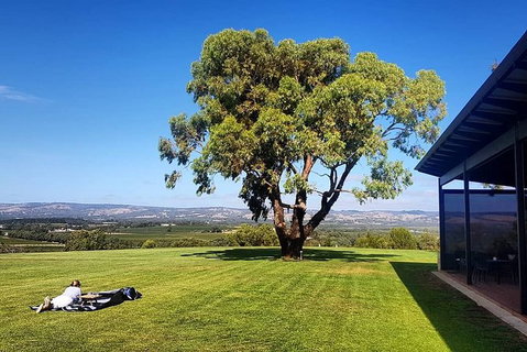 Private McLaren Vale Wine, Gin, & D\'Arenberg Cube Tour - Tourism Adelaide 1