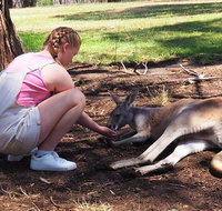 Adelaide Driving Tour - Tourism Adelaide