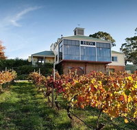 Adelaide Hills Full Day Winery Tour with Tastings - Tourism Adelaide