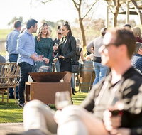 Wine Tasting Experience - Tourism Adelaide