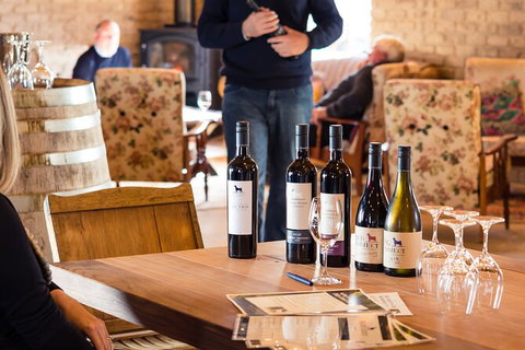 Wine Tasting At Our Cellar Door In Penola - Tourism Adelaide 1