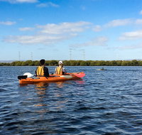 Dolphin Sanctuary Kayaking in Adelaide - Tourism Adelaide