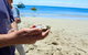 3-Day Guided Seafood Lovers Tour Of Ceduna From Adelaide - thumb 3